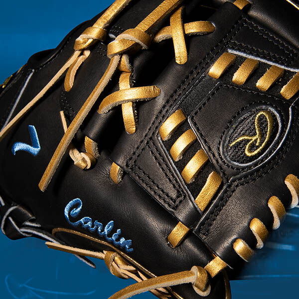 Platinum Glove Award