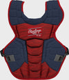 Navy/Scarlet