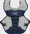Navy/White
