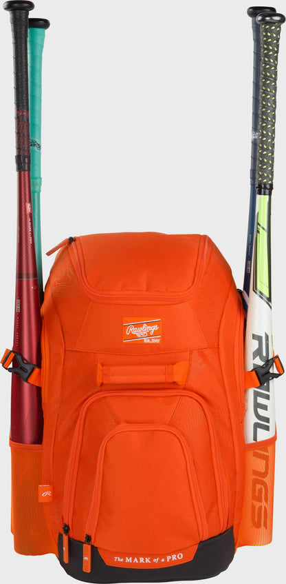 Franchise 2 Player's Baseball Backpack