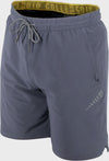 Blue Gray