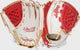 White/Scarlet